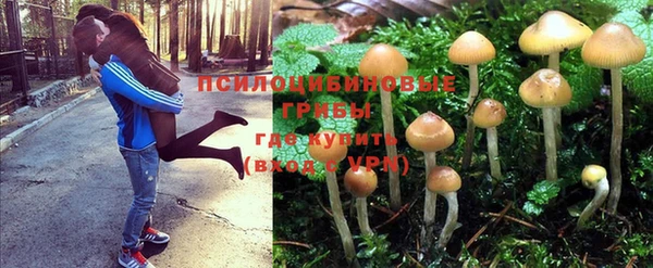 твердый Волосово