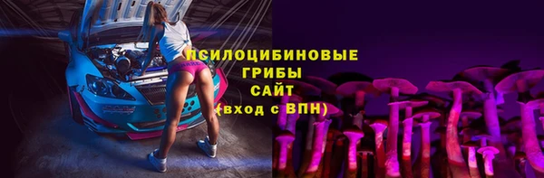 шишки Волоколамск