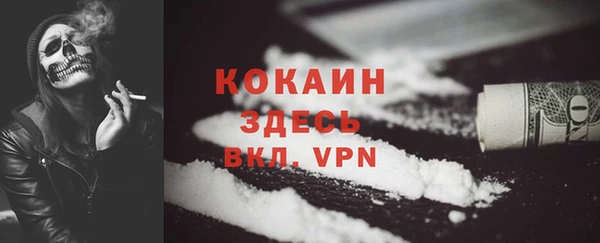 дживик Володарск