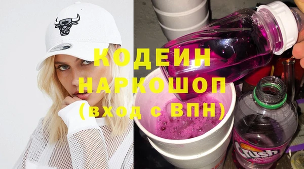 прущие грибы Вяземский