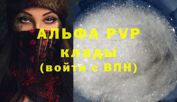 дживик Володарск