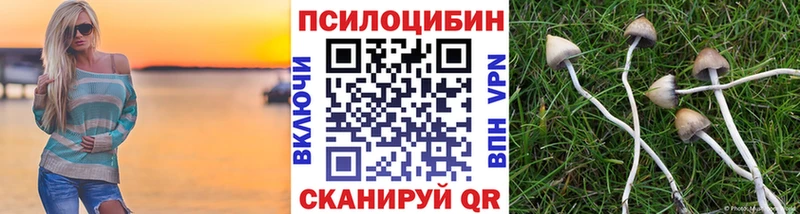 где купить Инта Галлюциногенные грибы Cubensis